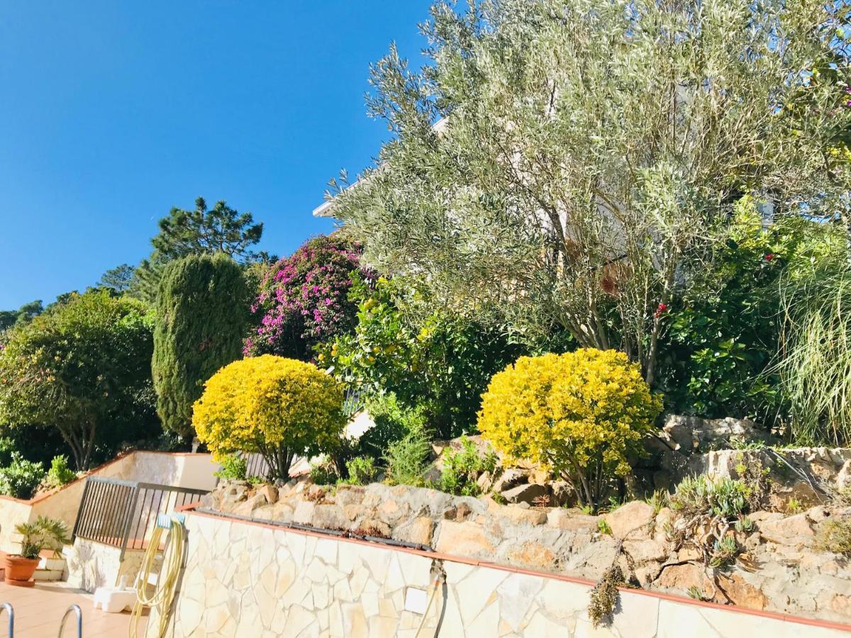 Mediterranean Villa Investingspain Sea View And Pool Lloret de Mar Exteriér fotografie